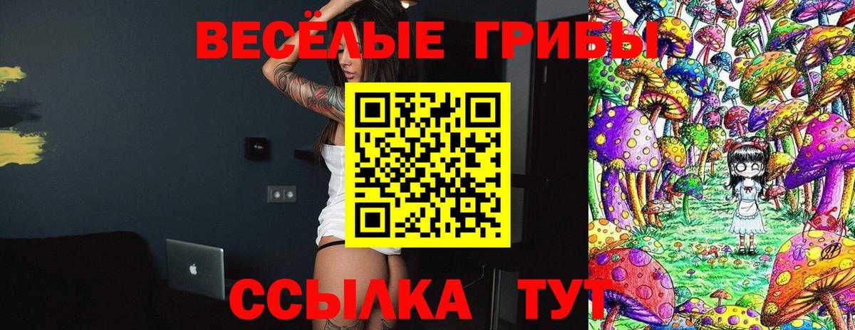 Псилоцибиновые грибы Cubensis Новозыбков