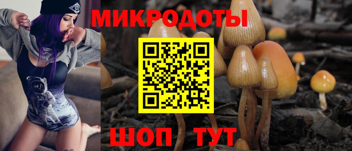 Псилоцибиновые грибы Magic Shrooms  Галлюциногенные грибы GOLDEN TEACHER  Новозыбков  Вход с VPN 