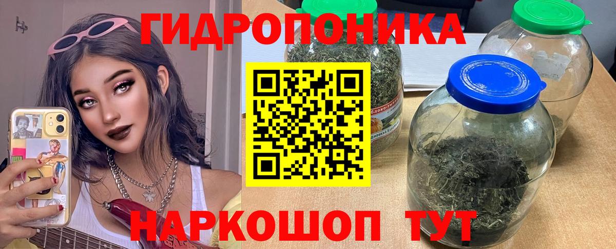 Конопля OG Kush Новозыбков