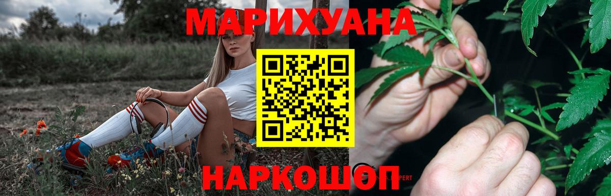 Канабис сатива  Марихуана план  Новозыбков  Бошки Шишки сатива  Вход с VPN 
